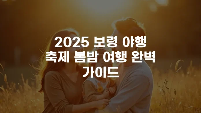 2025 보령 야행 축제 봄밤 여행 완벽 가이드