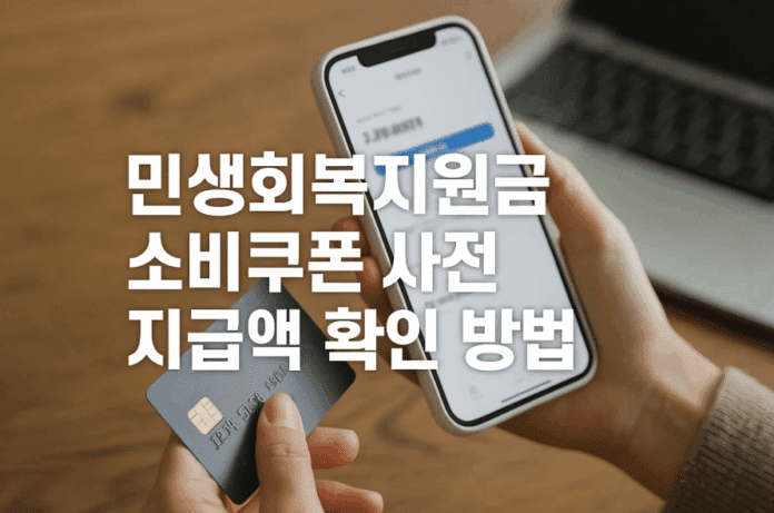 민생회복지원금소비쿠폰1