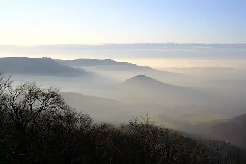 리걸테크