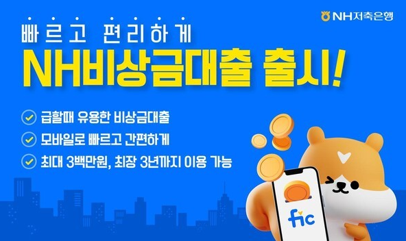 NH비상금대출